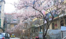 民生巷在什么地方淮北市民生巷