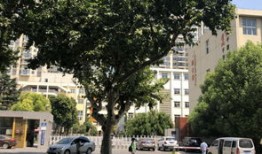 淮北第二中学东学区在什么地方