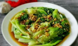 四月份淮北能种什么菜