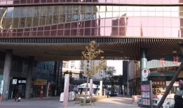 淮北万达旁去野旁边是什么店