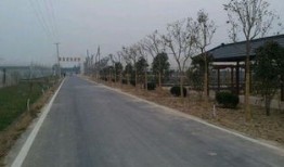 淮北市区适合做什么生意