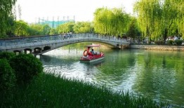 淮北人工湖抓蛇的地方叫什么