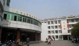淮北市八中学校在什么位置