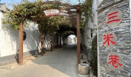淮北市杜集区纵楼村什么时候逢集