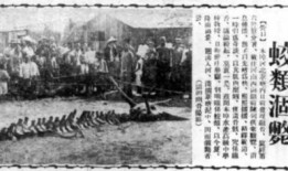 淮北第一人称事件真相是什么