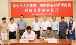 淮北市政府专职副书记什么级别