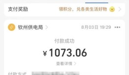 淮北的电费为什么一个月交很多次