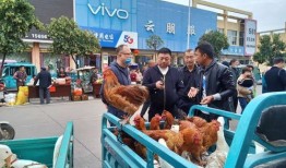 淮北市濉溪县一天吃什么