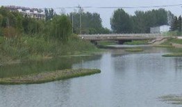 淮北河流水质差的原因是什么