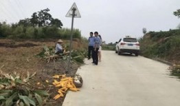 淮北市铁佛镇什么时候可以烧垃圾