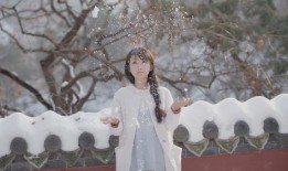 淮北下了雪一首歌叫什么