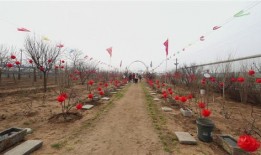 石榴园淮北生态园什么时候开门