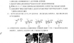 安徽淮北八年级课本什么版本