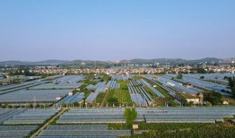 淮北市杜集区纬二路在什么地方