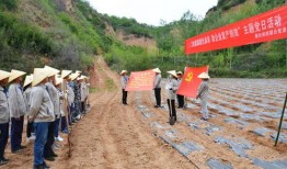 淮北市岱河矿现在改名叫什么