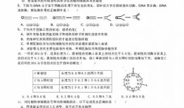 安徽淮北高三二月份有什么考试
