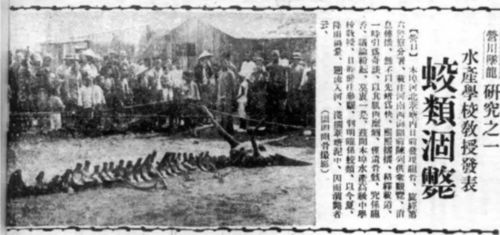 淮北第一人称事件真相是什么