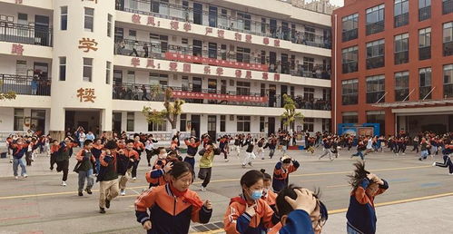 安徽省淮北市肖店小学全名叫什么