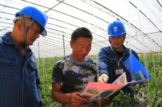 淮北地区10月下旬能种什么菜
