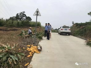 淮北市铁佛镇什么时候可以烧垃圾