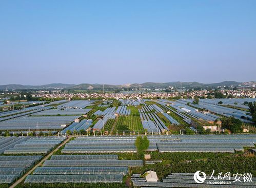 淮北市杜集区纬二路在什么地方