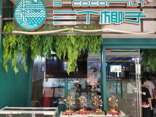 淮北五小对面宠物店叫什么