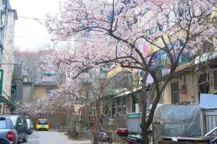 民生巷在什么地方淮北市民生巷