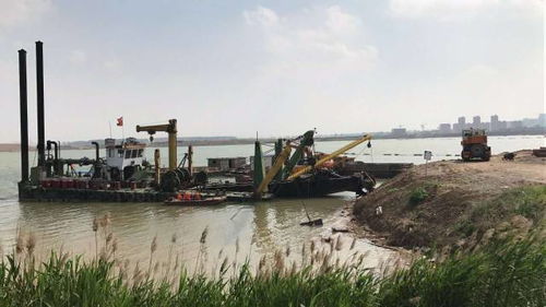 淮北中湖公园铁路两边种的什么花