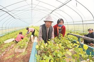 淮北市五月份能摘什么
