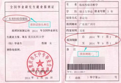 淮北A2上岗证在什么地方办