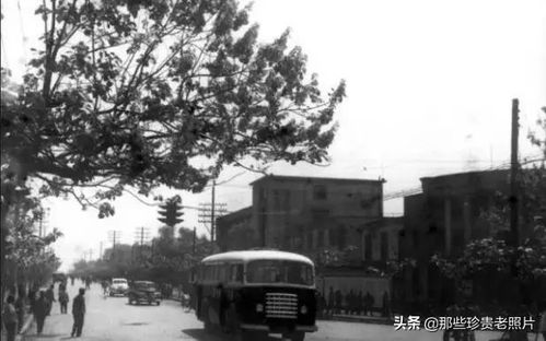 安徽省淮北市历史上出过什么名人
