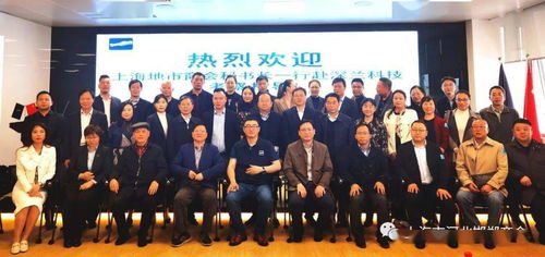 淮北市四小门口树是什么树