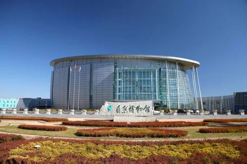 淮北陆号科技有限公司是做什么的