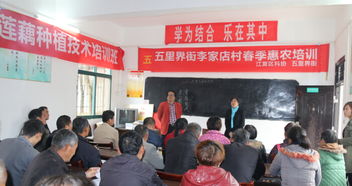 淮北市区有什么好工作单位