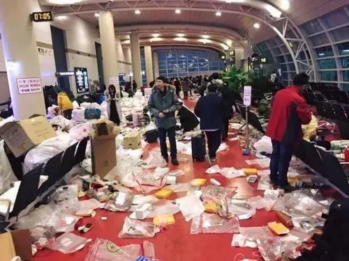 淮北一中扔书事件真相是什么