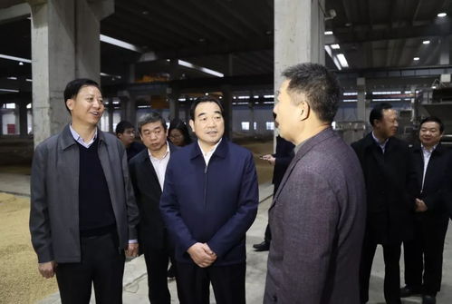 淮北市戴志军是干什么的
