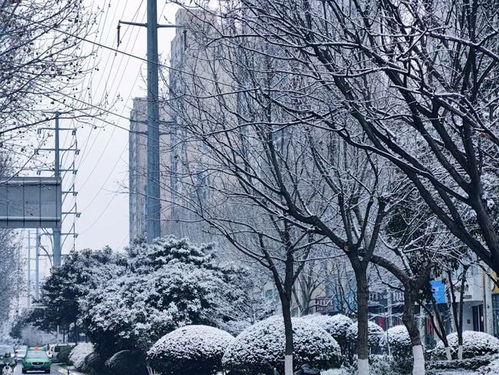 淮北第一场雪是什么样的