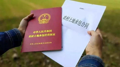 淮北工人村办理健康证在什么地方