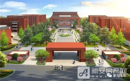 安徽淮北城关一中什么时候开学