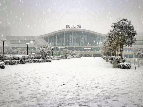 大淮北的第一场雪是什么