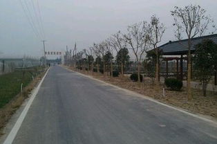 淮北市区适合做什么生意