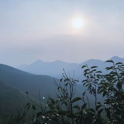 淮北南山十月份有什么 淮北南山十月份有什么
