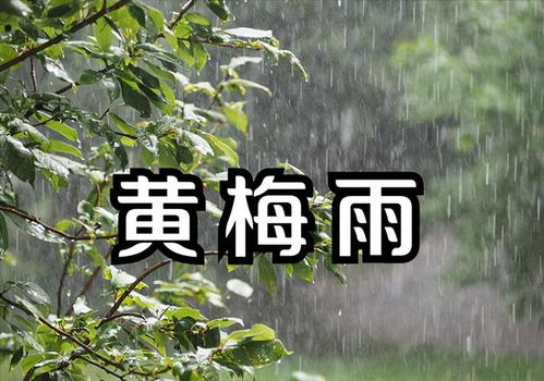 淮北梅雨季节是什么时间2024