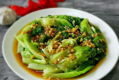 四月份淮北能种什么菜