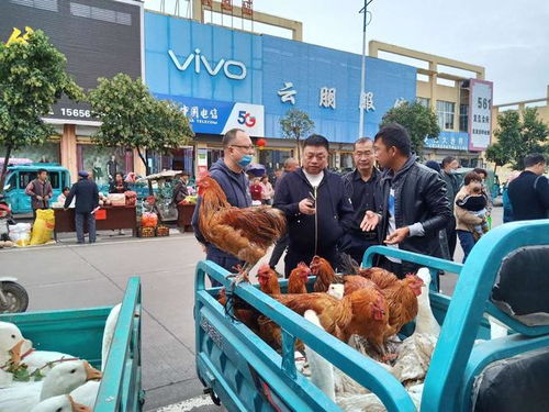淮北市濉溪县一天吃什么