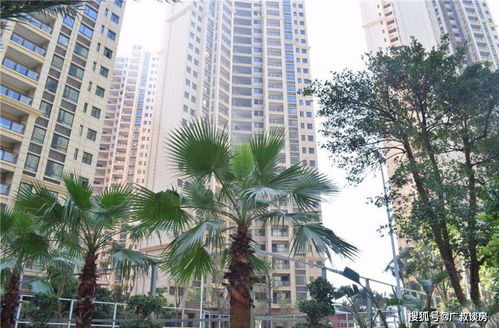 淮北市龙波艺术高中是什么类型的