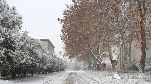 淮北下雪的第一场雪是什么