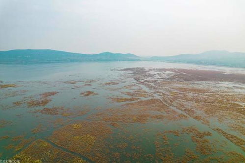 淮北华家湖的水什么时候能用的上