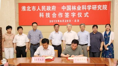 淮北市政府专职副书记什么级别