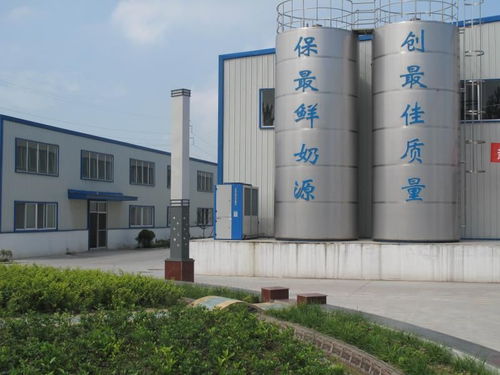淮北牛奶厂和曦强乳业什么关系